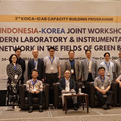 WhatsApp Image 2024-07-25 at 2.46.43 PM