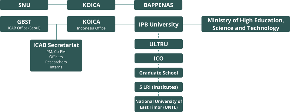 KOICA-ICAB Structure